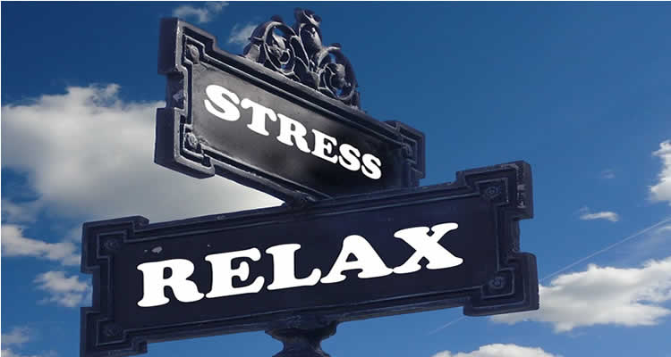 Gastroenterology | Medical Responsive Website Templates